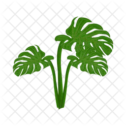 Monstera leaf  Icon
