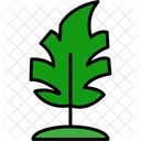 Monstera Leaf Monstera Leaf Icon