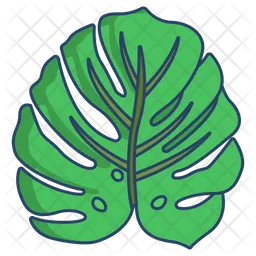 Monstera Leaf  Icon