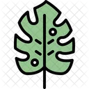 Monstera Leaf Icon