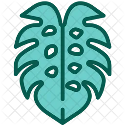 Monstera Leaf  Icon