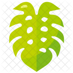 Monstera Leaf  Icon