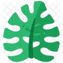 Monstera Leaf Tropical Plant Icon