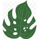 Monstera Leaf Monstera Tropical Icon