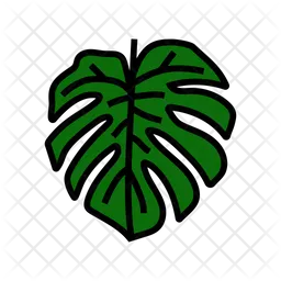 Monstera Leaf  Icon