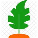 Monstera Leaf Monstera Leaf Icon