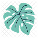 Monstera Leaf Exotic Foliage Tropical Decoration Icon