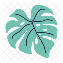 Monstera Leaf  Icon