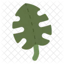 Monstera Leaf  Icon