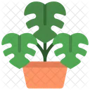 Monstera-Pflanze  Symbol