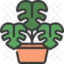 Monstera-Pflanze  Symbol