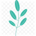 Monstera-Pflanzenblatt  Symbol