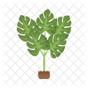 Monstera plant  Icon