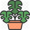 Monstera Plant  Icon
