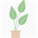 Decorative Houseplant Monstera Leaf With Venes Icône