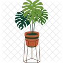 Monstera  Icon