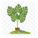 Monstera tree  Icon