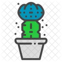 Moon Cactus Succulent Icon