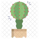 Moon Cactus Cactus Pot Cactus Plant Icon