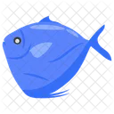 Moon Fish Luna Fish Moonbeam Fish Icon