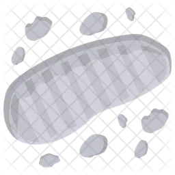 Moon footprint  Icon