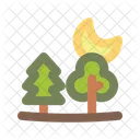 Woods Weather Nature Icon