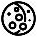 Moon Phases Icon