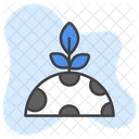 Moon Plant  Icon