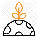 Moon Plant  Icon