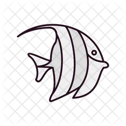 Moorish Idol  Icon