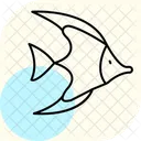 Moorish Idol Moorish Idol Icon