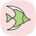 Moorish Idol Moorish Idol Icon