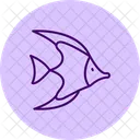 Moorish Idol Moorish Idol Icon