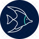 Moorish Idol Moorish Idol Icon