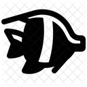 Moorish Idol  Icon