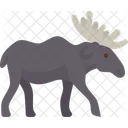 Moose  Icon