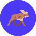 Moose Animal Deer Icon