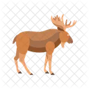 Moose Brown Antlers Icon