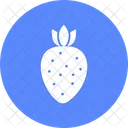 Morango Baga Dieta Icon