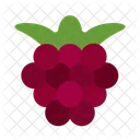 Moras  Icono