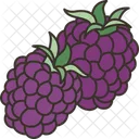 Moras  Icono