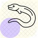 Moray Eel Moray Eel Icon