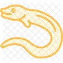 Moray Eel Moray Eel Icon
