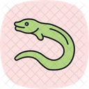 Moray Eel Moray Eel Icon