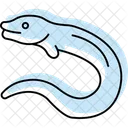 Moray Eel Moray Eel Icon