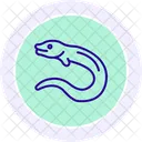 Moray Eel Moray Eel Icon