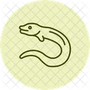 Moray Eel Moray Eel Icon