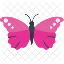 Morpho Inseto Especie Icon