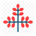 Moringa  Icon