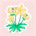 Moringa Flower  Icon